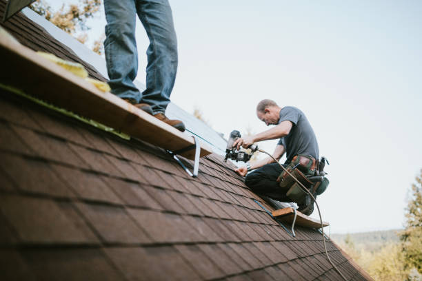 Best Storm Damage Roof Repair  in Pulaski, VA